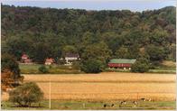 Reiff Farm Bed and Breakfast